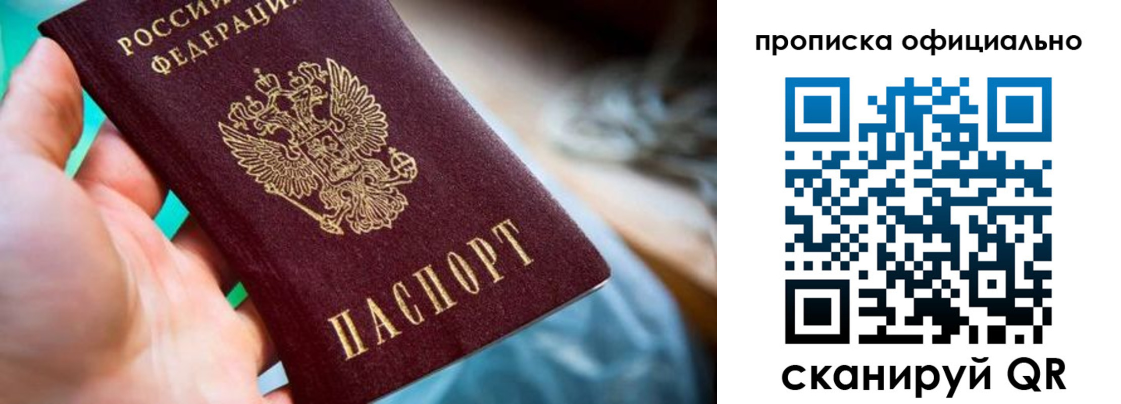 прописка поиск в Котово